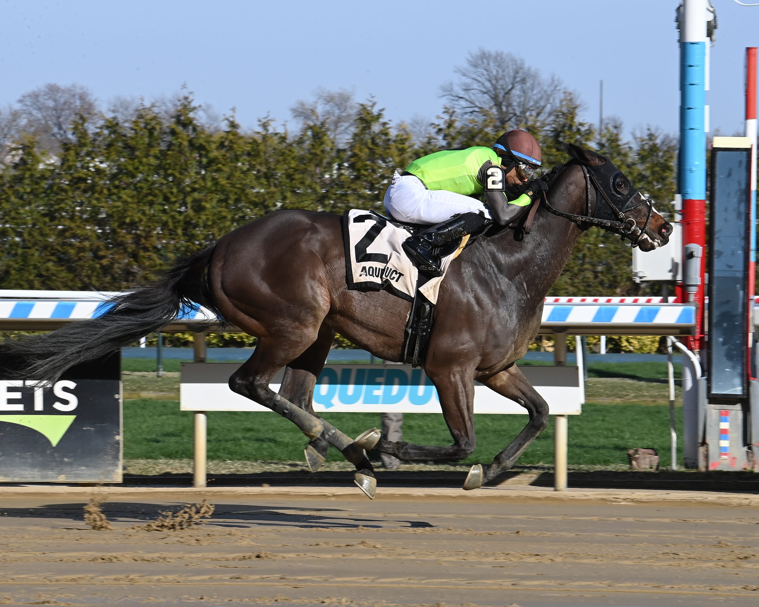 Law Professor draws away in Excelsior Stakes